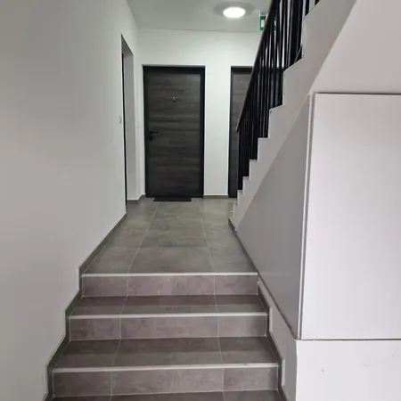 Lux Na Ledinama